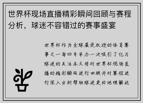 世界杯现场直播精彩瞬间回顾与赛程分析，球迷不容错过的赛事盛宴